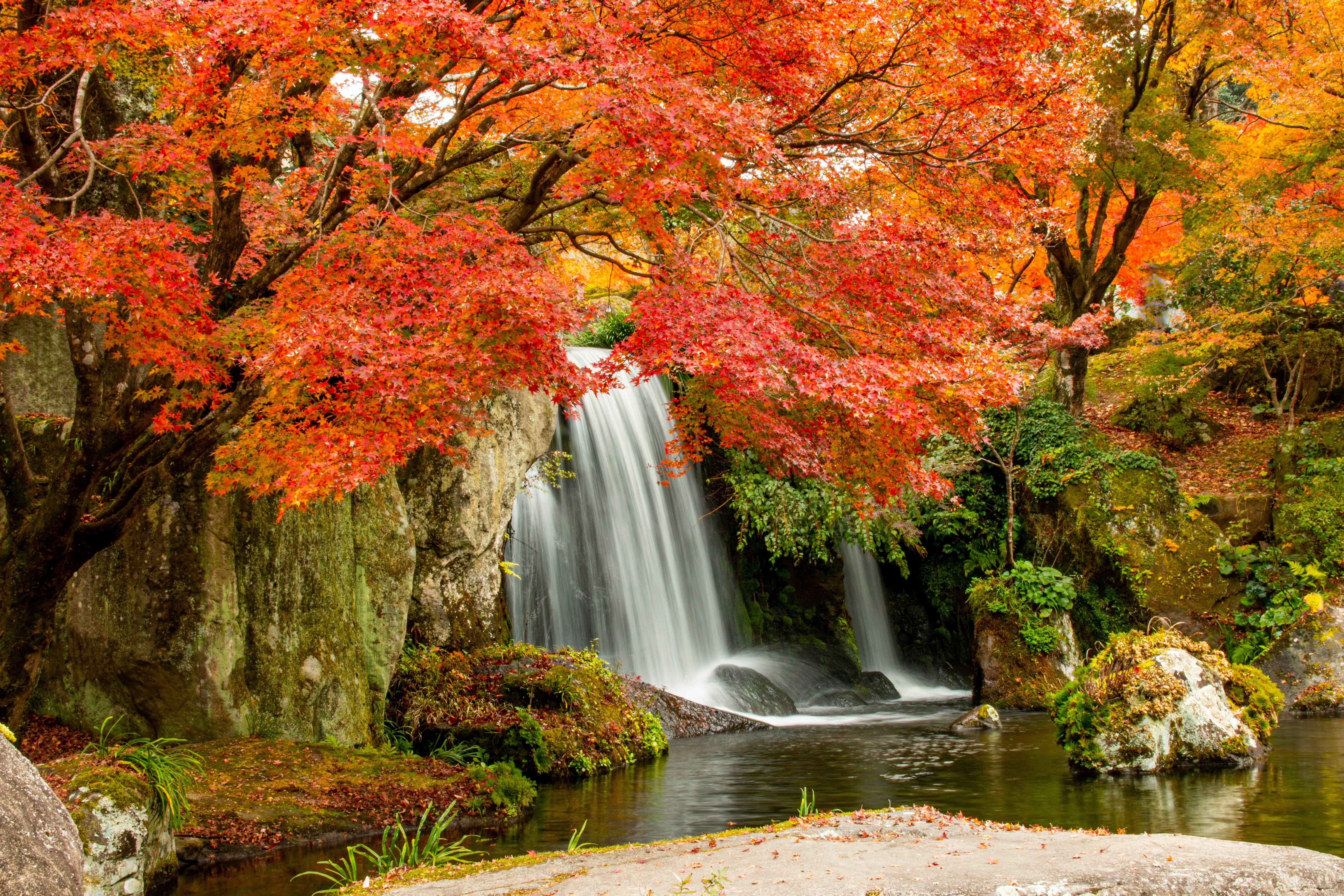 natureza linda